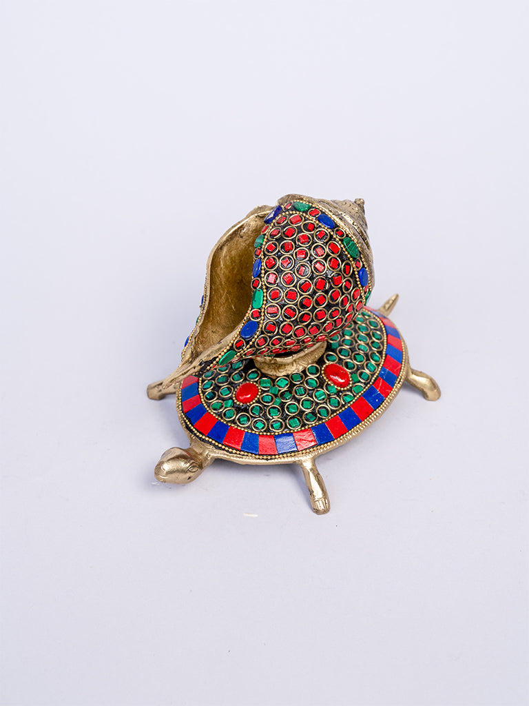 Shankh on Tortoise
