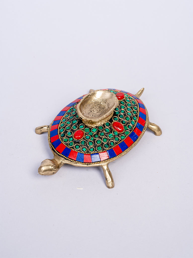 Shankh on Tortoise