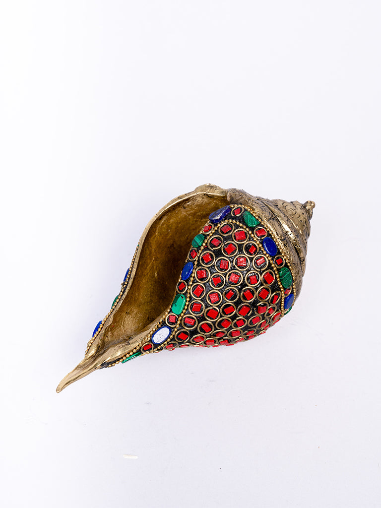Shankh on Tortoise