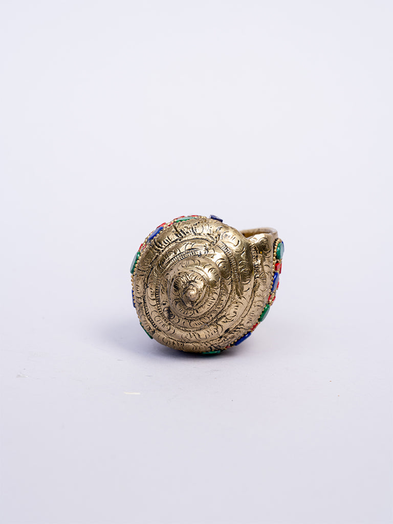 Shankh on Tortoise