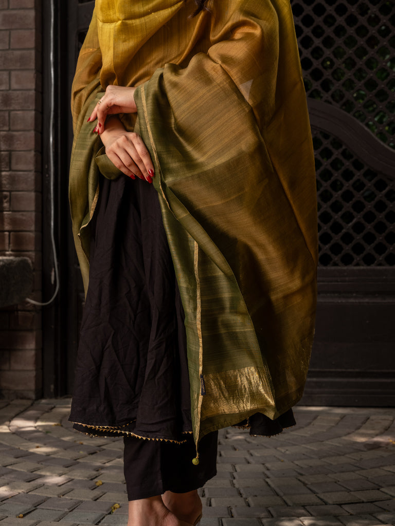 Brown-Gold Ombre Dupatta