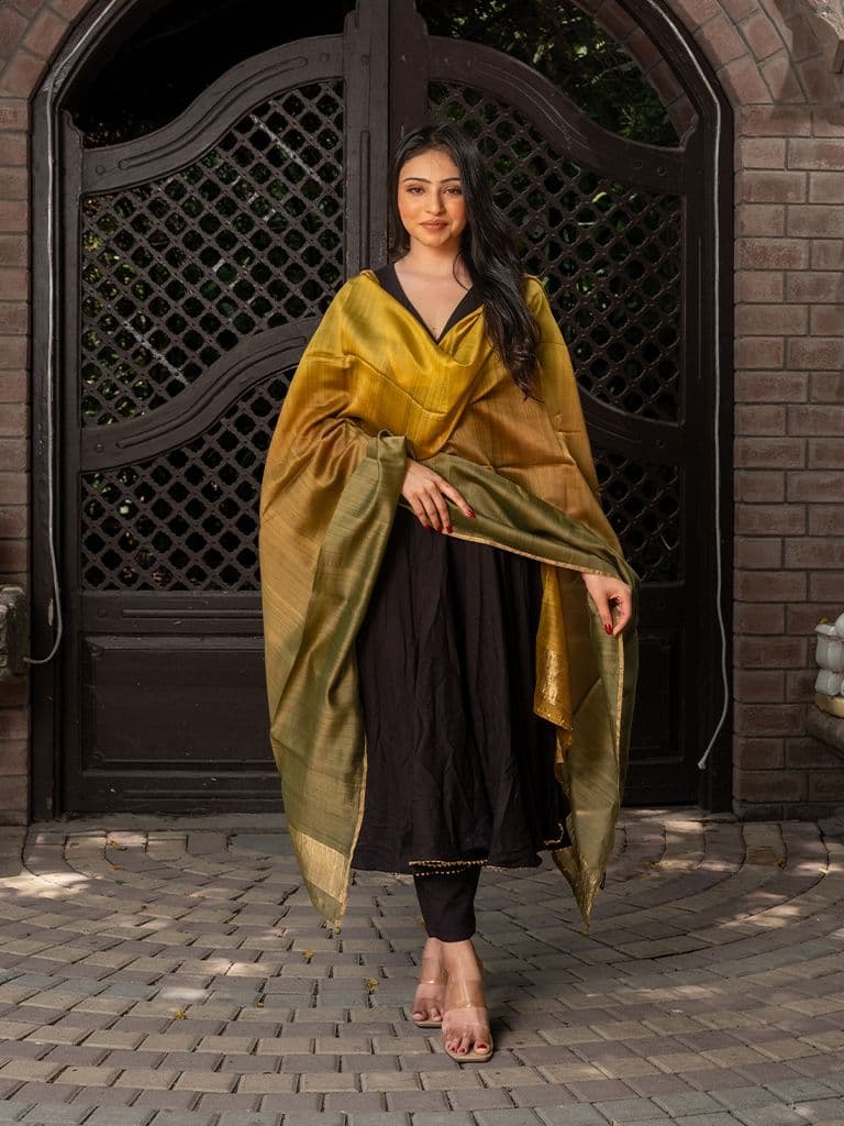 Brown-Gold Ombre Dupatta