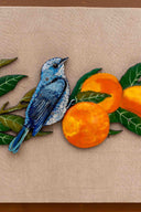 3D Sunfruit Perch Handpainted Decorative (7*7) Wall Frame