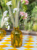 Amber Cylinder Glass Vase | Handcrafted Decorative Vase from Pumpkin Collection