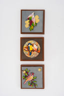 Dove, Sunbeam Perch & Finch Wall Frame Combo (7x7 Inch Set of 3)