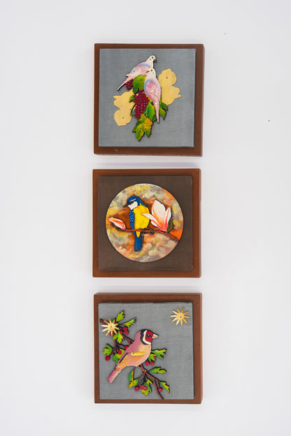 Dove, Sunbeam Perch & Finch Wall Frame Combo (7x7 Inch Set of 3)