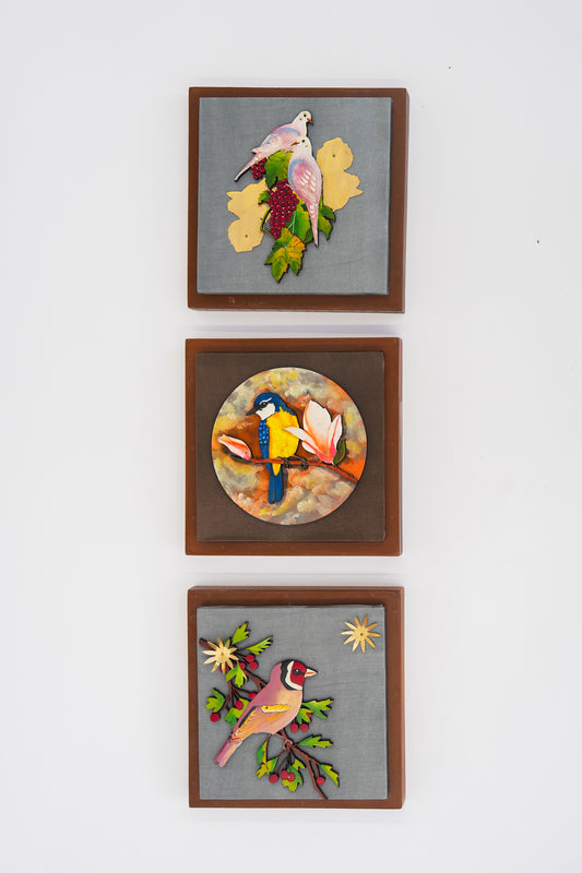 Dove, Sunbeam Perch & Finch Wall Frame Combo (7x7 Inch Set of 3)