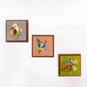 Bird Gallery Wall Art Set – Blue Jay, Blue Tit & Dove | Craftroots