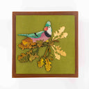 Bird Gallery Wall Art Set – Blue Jay, Blue Tit & Dove | Craftroots