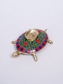 Shankh on Tortoise