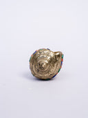Shankh on Tortoise